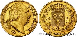 20 francs or Louis XVIII, tête nue 1817 Paris F.519/5 TTB45