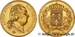 40 francs or Louis XVIII 1817 Paris F.542/6