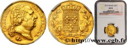 20 francs or Louis XVIII, tête nue 1817 Bayonne F.519/7
