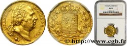 20 francs Louis XVIII, tête nue 1820 Perpignan F.519/21