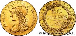 20 francs Marengo 1801 Turin VG.842
