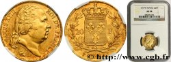 20 francs or Louis XVIII, tête nue 1817 Lille F.519/9