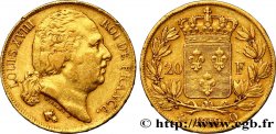 20 francs or Louis XVIII, tête nue 1819 Perpignan F.519/16