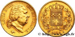 40 francs or Louis XVIII 1824 Paris F.542/14
