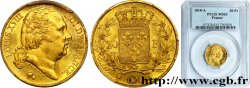 20 francs or Louis XVIII, tête nue 1818 Paris F.519/10 SPL63 PCGS