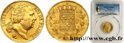 20 francs or Louis XVIII, tête nue 1824 Lille F.519/34