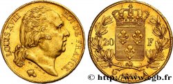 20 francs or Louis XVIII, tête nue 1819 Paris F.519/15