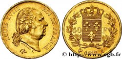 40 francs or Louis XVIII 1817 Paris F.542/6 AU58