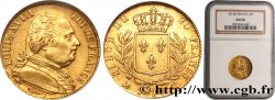 20 francs or Louis XVIII, buste habillé 1814 Bordeaux F.517/3