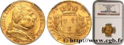 20 francs or Louis XVIII, buste habillé 1815 Bayonne F.517/15
