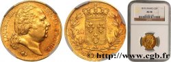 20 francs or Louis XVIII, tête nue 1817 Bayonne F.519/7 AU58 NGC