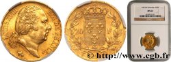 20 francs or Louis XVIII, tête nue 1819 Lille F.519/18 MS62 NGC