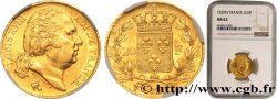 20 francs or Louis XVIII, tête nue 1820 Lille F.519/23 MS62 NGC