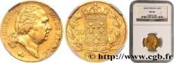 20 francs or Louis XVIII, tête nue 1822 Lille F.519/28