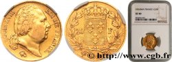 20 francs or Louis XVIII, tête nue 1824 Marseille F.519/32