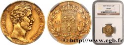 20 francs or Charles X 1828 Nantes F.520/9