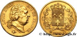 40 francs or Louis XVIII 1818 Paris F.542/7