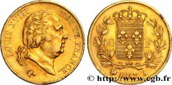 40 francs or Louis XVIII 1817 Paris F.542/6 TTB50