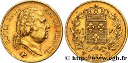 40 francs or Louis XVIII 1816 Lille F.542/5