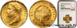 20 francs or Napoléon tête laurée, Empire français 1810 Paris F.516/8