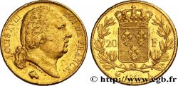20 francs or Louis XVIII, tête nue 1819 Paris F.519/15