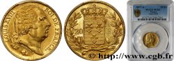 20 francs or Louis XVIII, tête nue 1817 Paris F.519/5