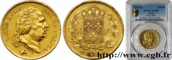 40 francs or Louis XVIII 1816 Perpignan F.542/4