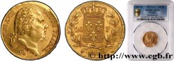 20 francs or Louis XVIII, tête nue, Fauté 1817 Paris F.519/5