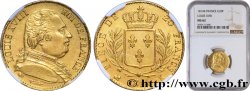 20 francs or Louis XVIII, buste habillé 1814 Bordeaux F.517/3