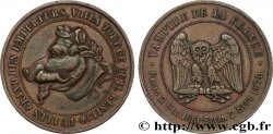 Monnaie satirique Cu 32, module de dix centimes à la tête de cochon 1870  Schw.C6b p.353