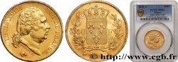 40 francs or Louis XVIII 1816 Paris F.542/1