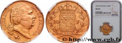 20 francs or Louis XVIII, tête nue 1817 Bordeaux F.519/6
