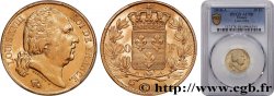 20 francs or Louis XVIII, tête nue 1818 Paris F.519/10
