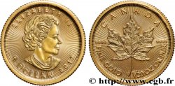 OR, PALLADIUM ET PLATINE INVESTISSEMENT 1/20 Oz - 1 Dollar Maple Leaf Elisabeth II 2017