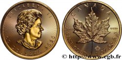 GOLD, PALLADIUM & PLATINUM INVESTMENT 50 Dollars Maple Leaf Elisabeth II 2020