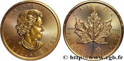GOLD, PALLADIUM & PLATINUM INVESTMENT 50 Dollars Maple Leaf Elisabeth II 2020