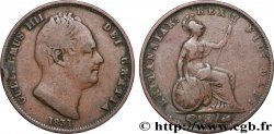 ROYAUME-UNI 1/2 Penny Guillaume IV 1831