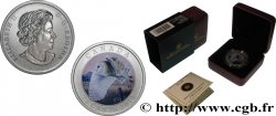 CANADA 25 Cents Proof Effraie des Clochers 2013