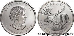 SILVER INVESTMENT 1 Oz - 5 Dollars Proof Elisabeth II / élan 2012
