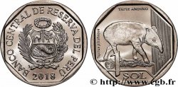 PÉROU 1 Sol Tapir des Andes 2018 Lima