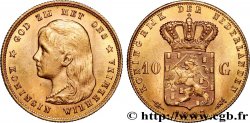 OR, PALLADIUM ET PLATINE INVESTISSEMENT 10 Gulden 1897 Utrecht