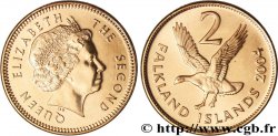 ÎLES FALKLAND 2 Pence Elisabeth II / Grande Oie de Magellan 2004  SPL