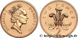 REGNO UNITO 2 Pence Elisabeth II / insigne des Princes de Galles 1991