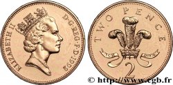 VEREINIGTEN KÖNIGREICH 2 Pence Elisabeth II / insigne des Princes de Galles 1992