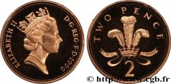 UNITED KINGDOM 2 Pence Proof Elisabeth II / insigne des Princes de Galles 1996