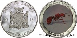 ZAMBIE 1000 Kwacha Proof série Insectes mortels : fourmi moissonneuse 2010 