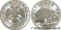 RUSSIE 1 Rouble Proof hérisson 1999 Léningrad