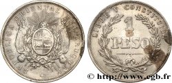 URUGUAY 1 Peso 1895 Buenos Aires XF