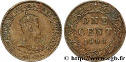 CANADA 1 Cent Edouard VII 1903