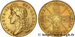 GREAT-BRITAIN - JAMES II 5 Guinées 1688 Londres